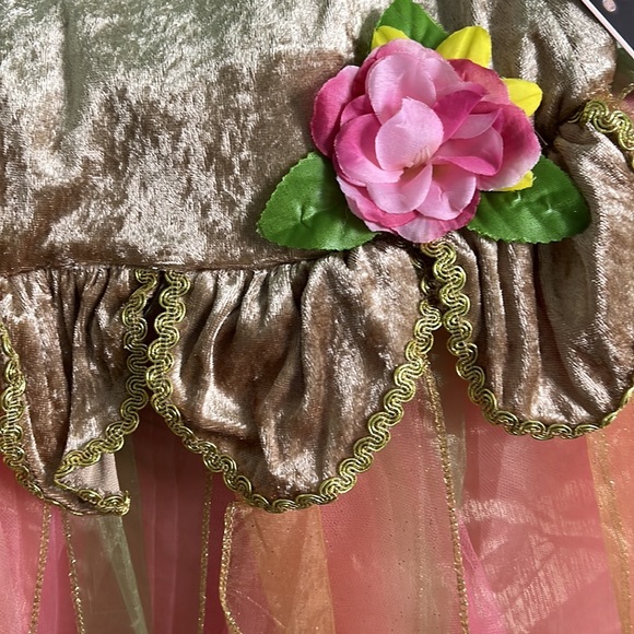 Fairy Dust Costume - Picture 12 of 15